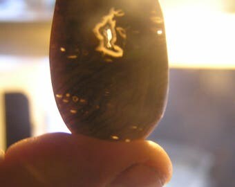Hells Canyon Petrified Wood Freeform Designer Cabochon