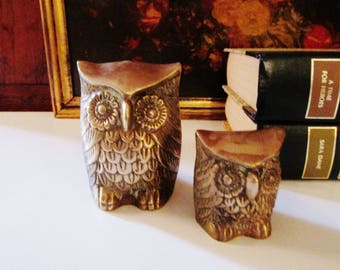 Vintage Pair of Brass Owls, Brass Figurines, Hollywood Regency Brass, Bookshelf Decor, Farmhouse Chic, Wise Owls