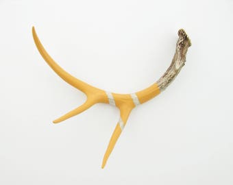 Painted Antler - LARGE - Orange Monochromatic - Taxidermy and Curiosities
