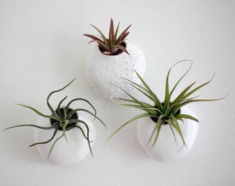 Hanging Wall Planter wall planters | etsy Hanging Wall Planter wall planters | etsy
