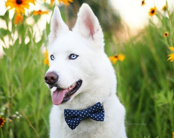 Dog Bow Tie, Dog Bowtie, Navy Polka Dot Bow Tie, Polka Dot Dog Bow Tie - Dog Bow Tie Only, Collar NOT Included