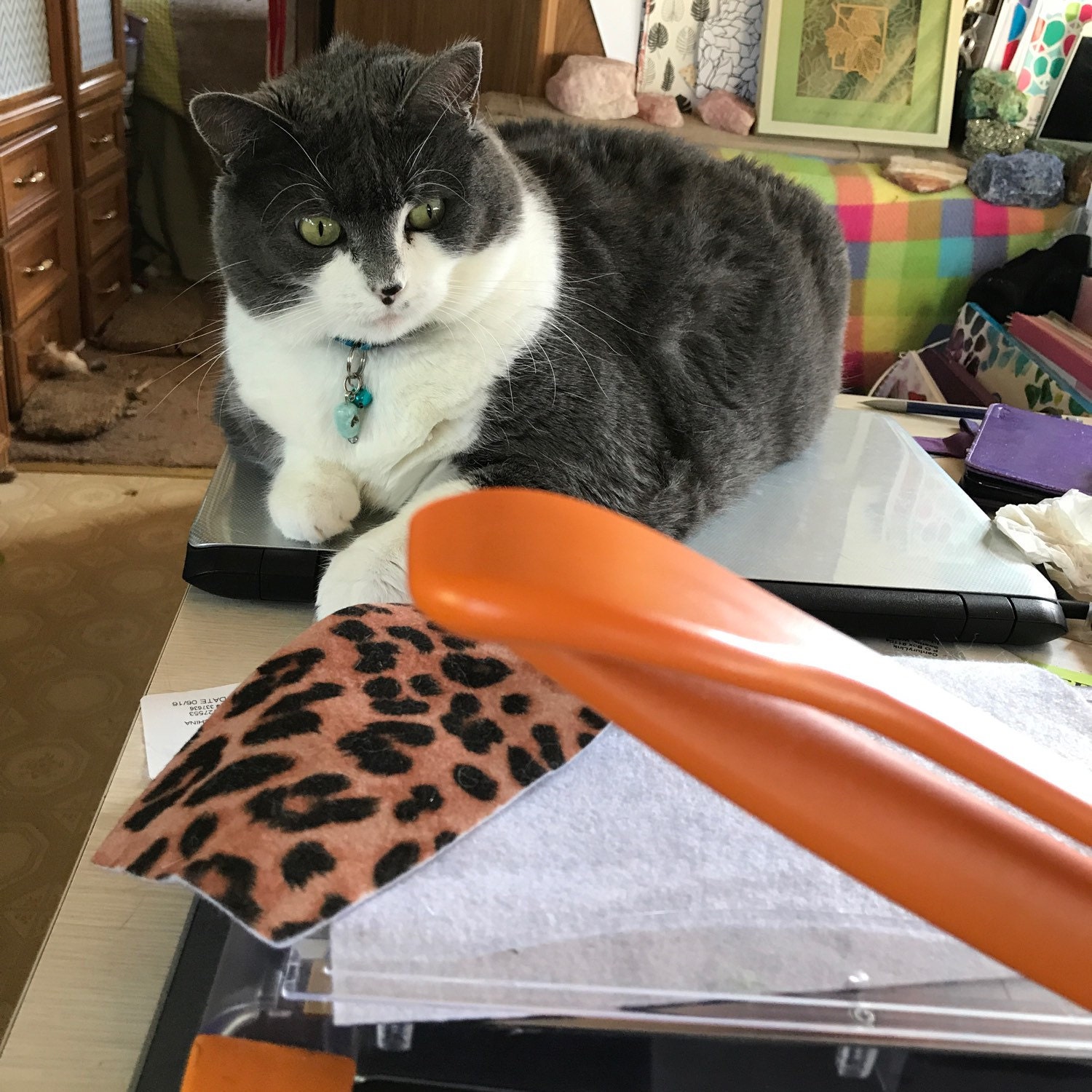 easter cat toys