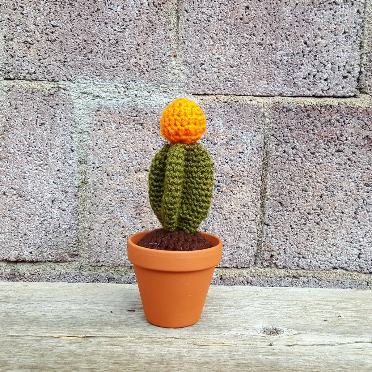 Plants You Can't Kill Crochet Cactus Moon Cactus