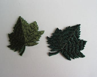 Thermo coat application leaves green and khaki
