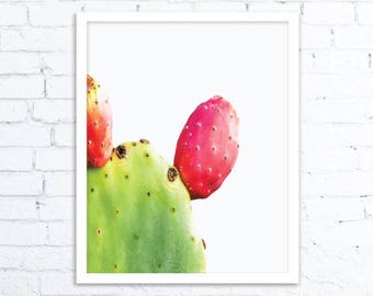 Sabras Print, Cacti Print, Prickly pear cactus with fruit Print, Cactus, Etsy trends, Desert Art, Cactus Art, Succulent Print, Cactus Decor