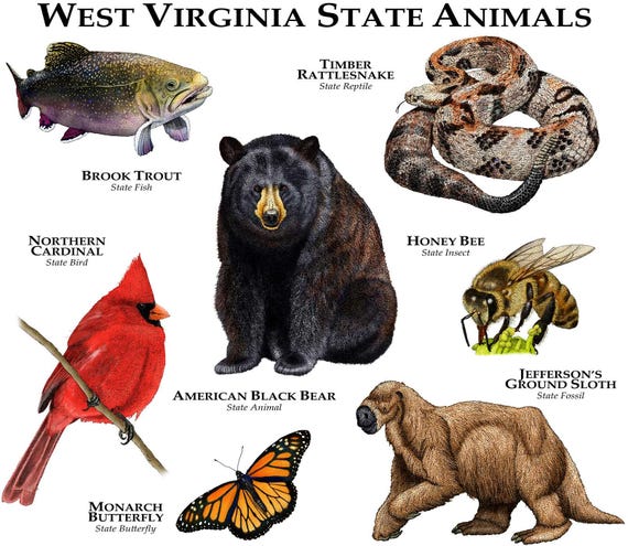 state bird of wv