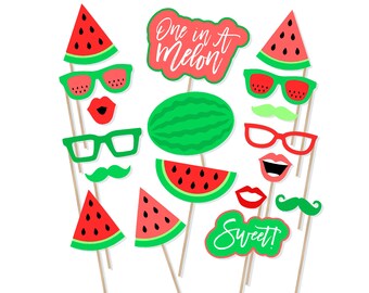 watermelon photo props watermelon photo props