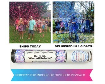 Gender Reveal Confetti Cannon | Gender Reveal Confetti Popper| Confetti Cannon| SAME DAY SHIPPING*