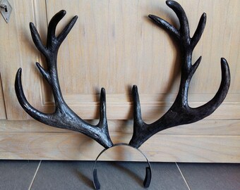 Wood of Hannibal stag deer antlers