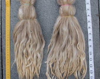 2,5 oz Natural raw white suri alpaca locks