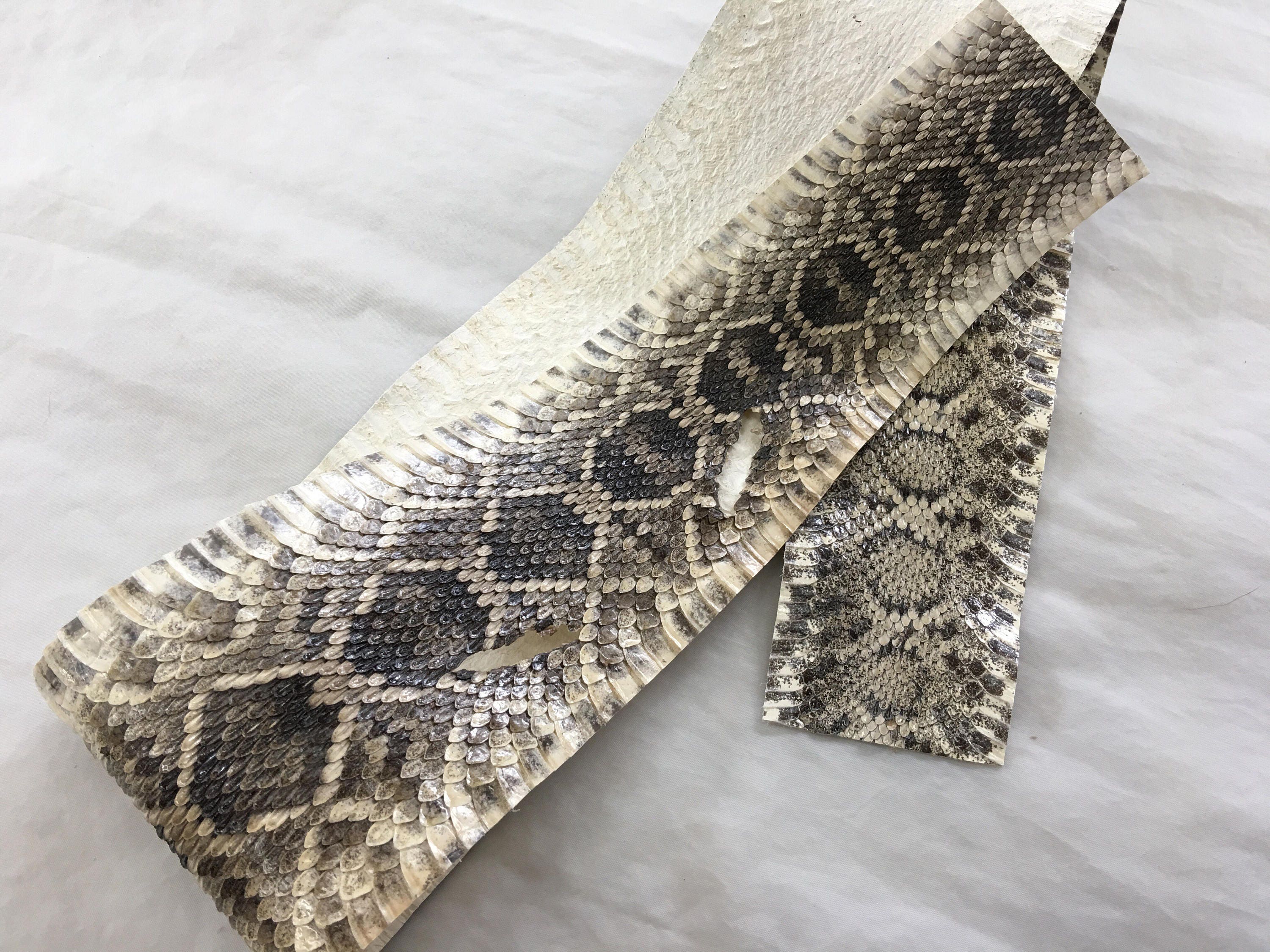 New Eastern Diamondback Rattlesnake Hide, real snake skin, rattlesnake ...