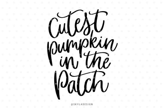 Download Cutest pumpkin in the patch svg Svg files Pumpkin svg Fall