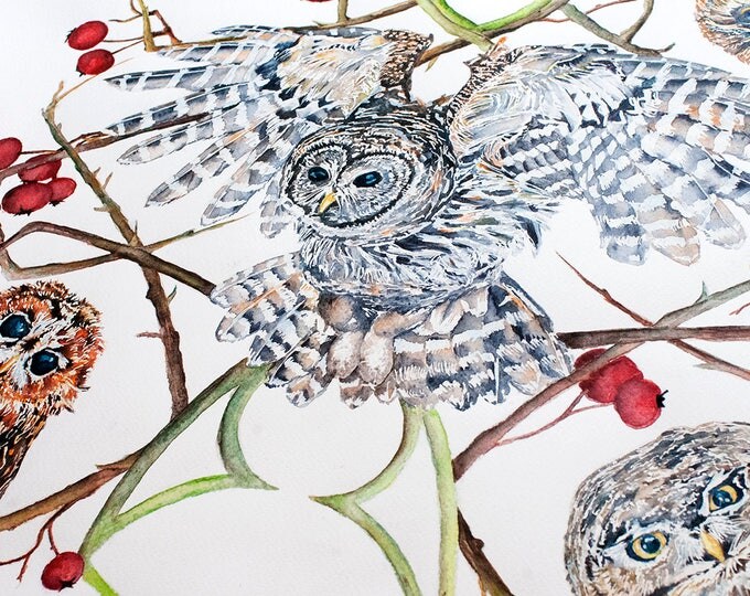 Watercolor Owls, Large ORIGINAL Watercolor Painting Owls Art, Owl Watercolor, Owl Art, Watercolor Owl Painting, Owl Wall Art, Owls Painting
