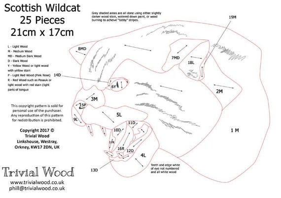 Scottish Wildcat Downloadable PDF Intarsia Pattern