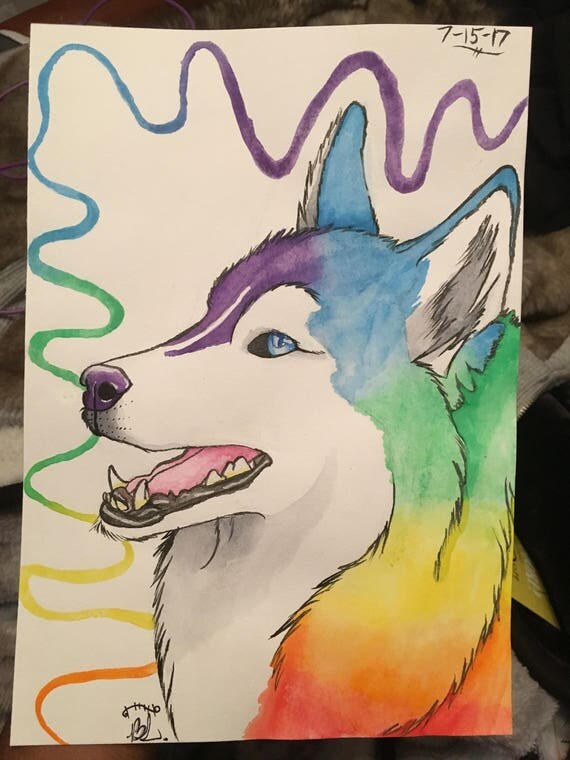 the rainbow husky