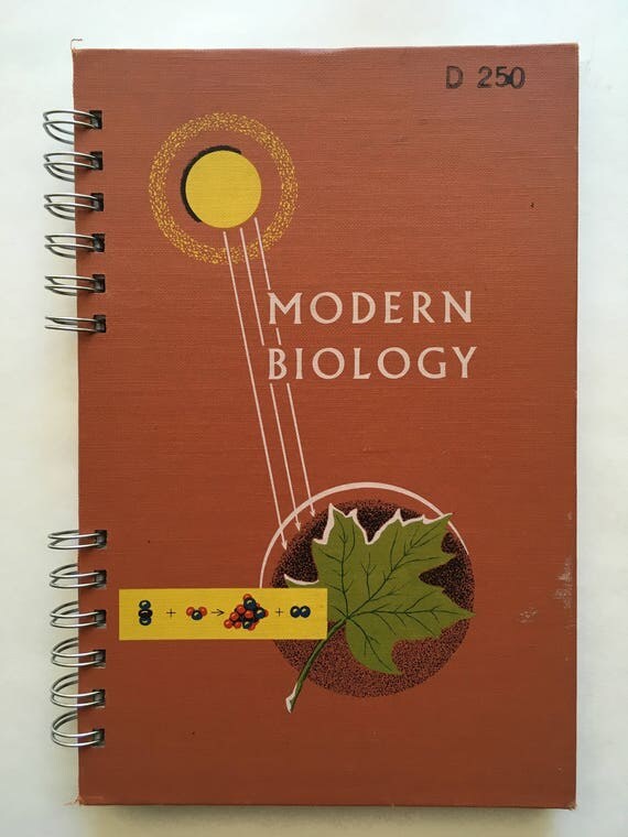 Sample journal paper format image