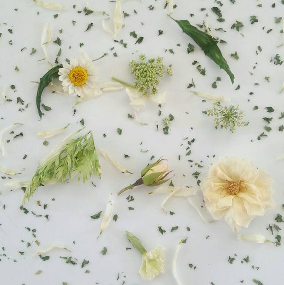 Dried Flower Confetti White and Green Real Flowers Wedding