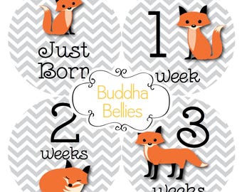 FREE NEWBORN SET Fox Baby Month Stickers Monthly Baby Stickers Fox Baby Shower Gift Red Fox Month to Month Baby Sticker Milestone Photo Prop