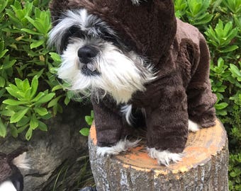 Goldilocks and the Three Bears/Teddy Bear Dog Costume size small, medium, large