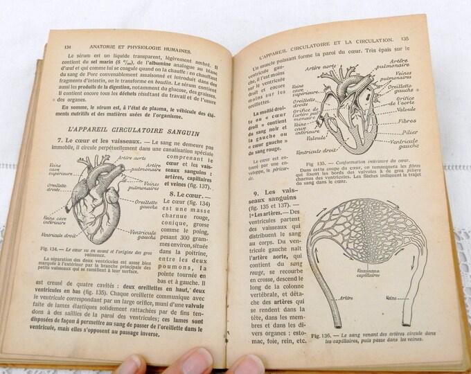 Vintage French School Biology / Natural Science Text Book with lots of Illustrations and Photographs Published by Hachette in 1940, France