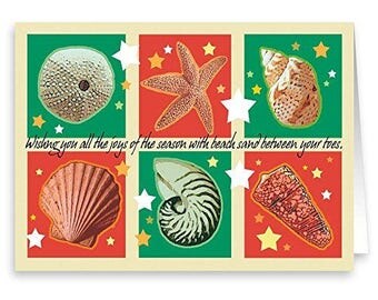 Season's Greetings Seashells Christmas Card- 18 Cards & Envelopes - Beach Cards - RKX10