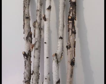 Birch poles | Etsy