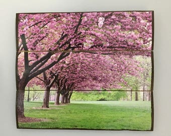 Cherry blossoms wooden wall decor