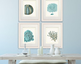 Set of 4 Blue Coral & Sea Urchin Prints - Nautical Print Art Illustration Drawing Poster Digital Print Wall Art Wall Décor Wall Hanging