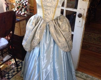 Cinderella costume with separate crinoline, tiara and gloves