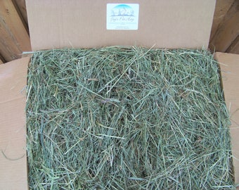 20 lb - 1st cut TIMOTHY mixed grass HAY! Rabbit hay, Guinea Pig hay, Chinchilla hay, Gerbil hay, Hamster hay. Small animal hay.
