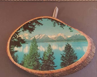 Vintage Decoupaged Mountain scene on slice of real wood.
