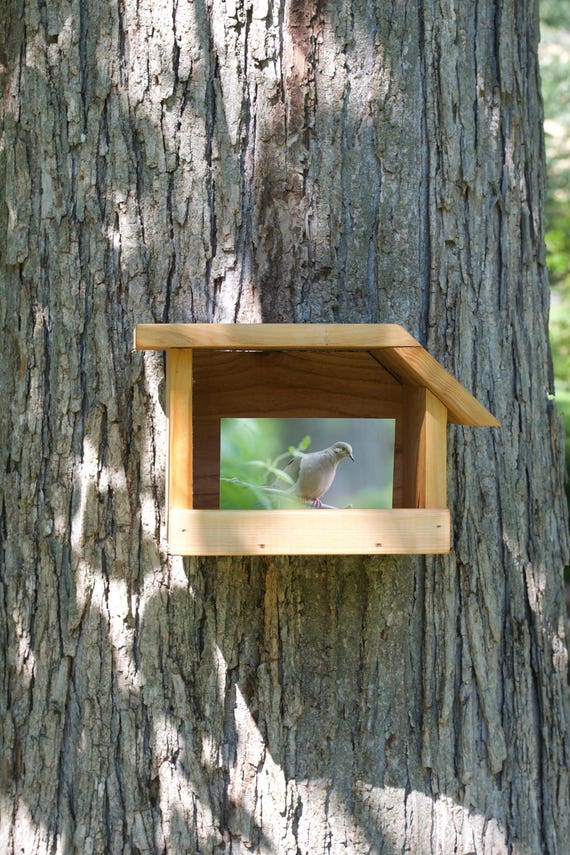 Mourning Dove Cedar bird house