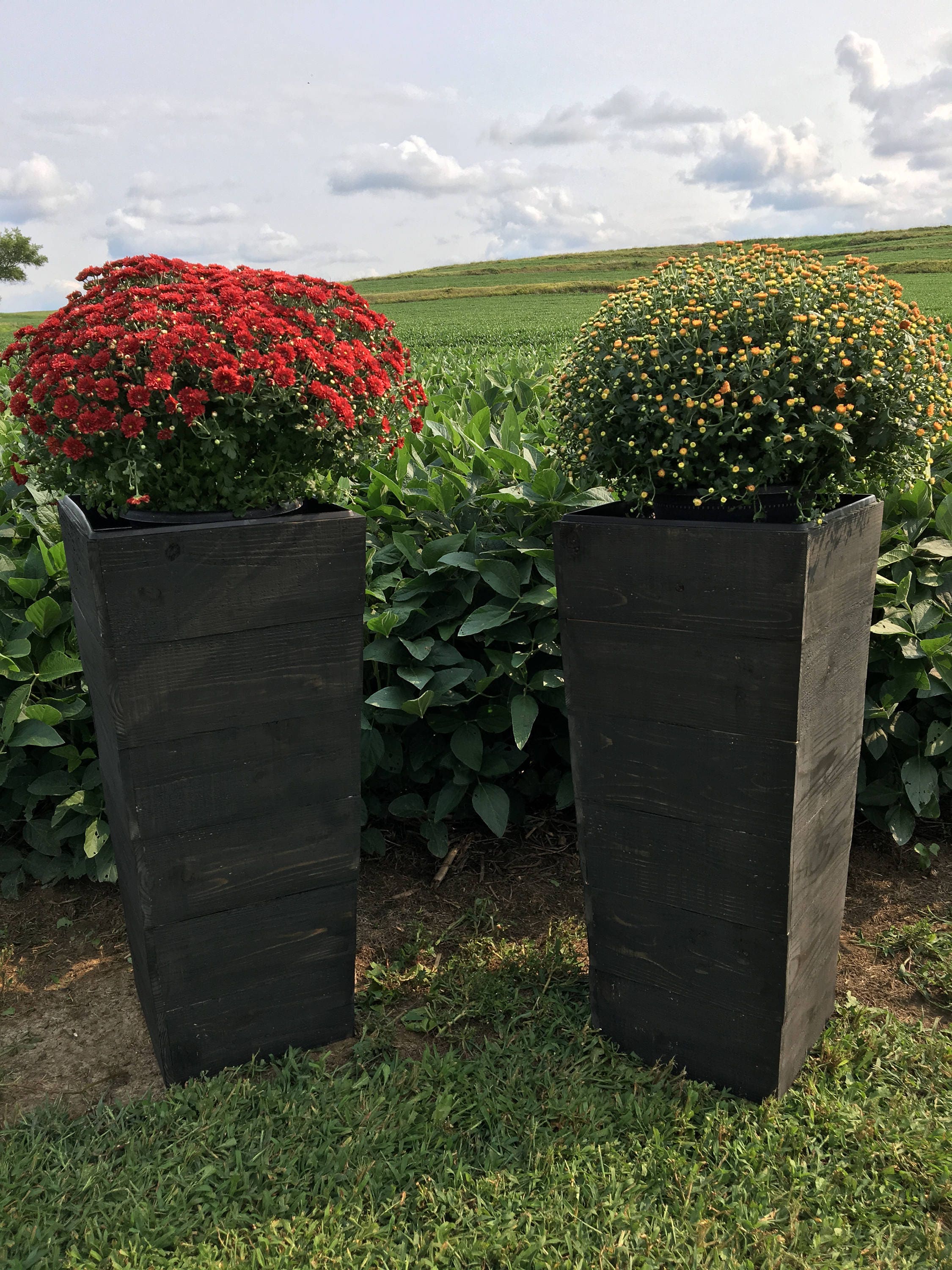 36 Tall Cedar Wood Planter Charcoal /Black