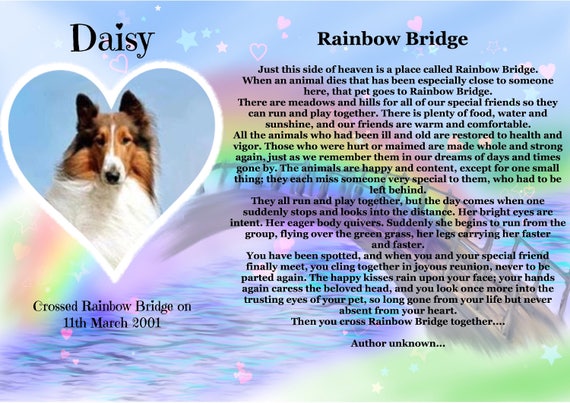 Rainbow Bridge Pet Print