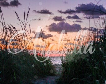 Sunrise through the seagrass