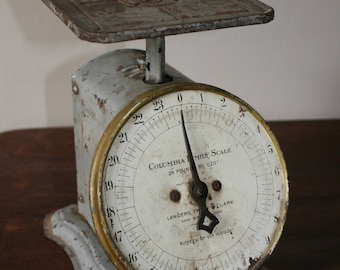 Columbia Family Scale / Vintage Kitchen Scale / Antique Kitchen Scale