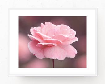 Pink Rose Photo Download, Pink Room Decor, Pink Photograph, Pink Printable, Pink Art Print, Pink Bedroom Wall Art, Printable Art, Download