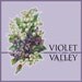 Violet And Valley Antiques