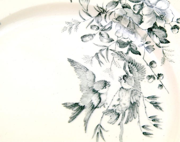Antique French Ceramic Bird Pattern Plate, Dark Blue on White Blue Tits with Wild Rose Design, Victorian Decorative Dinnerware