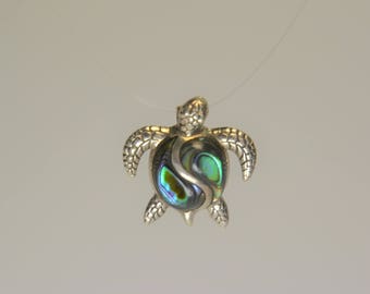 New Sea Turtle Hatchling