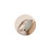 Green Aventurine Ring , Sterling Silver Overlay , Size 5 Green Aventurine Ring
