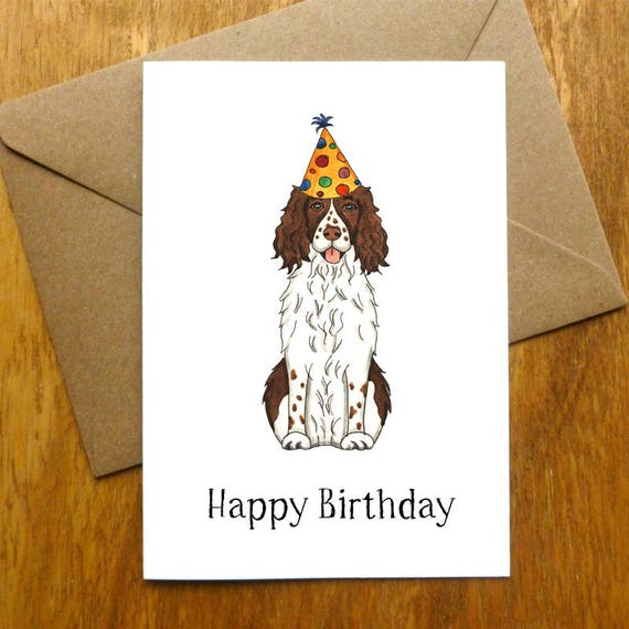 Springer Spaniel Happy Birthday Card