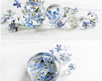Forget me not blue flower plug earrings resin ear plugs wedding plugs pressed flower wedding gauges ear tunnel terrarium jewelry 6g 4g 2g 0g