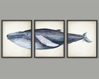 Humpback Whale Wall Art Poster Set Of 3 Whale Art Print