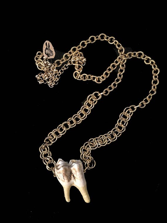 Gold Elk Tooth Necklace