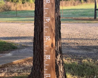 DIY Vinyl Growth Chart Decals 6' // Pick You Color // Growth Chart Ruler