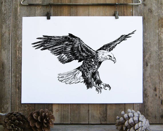 Bald eagle print Black and white printable Bald eagle