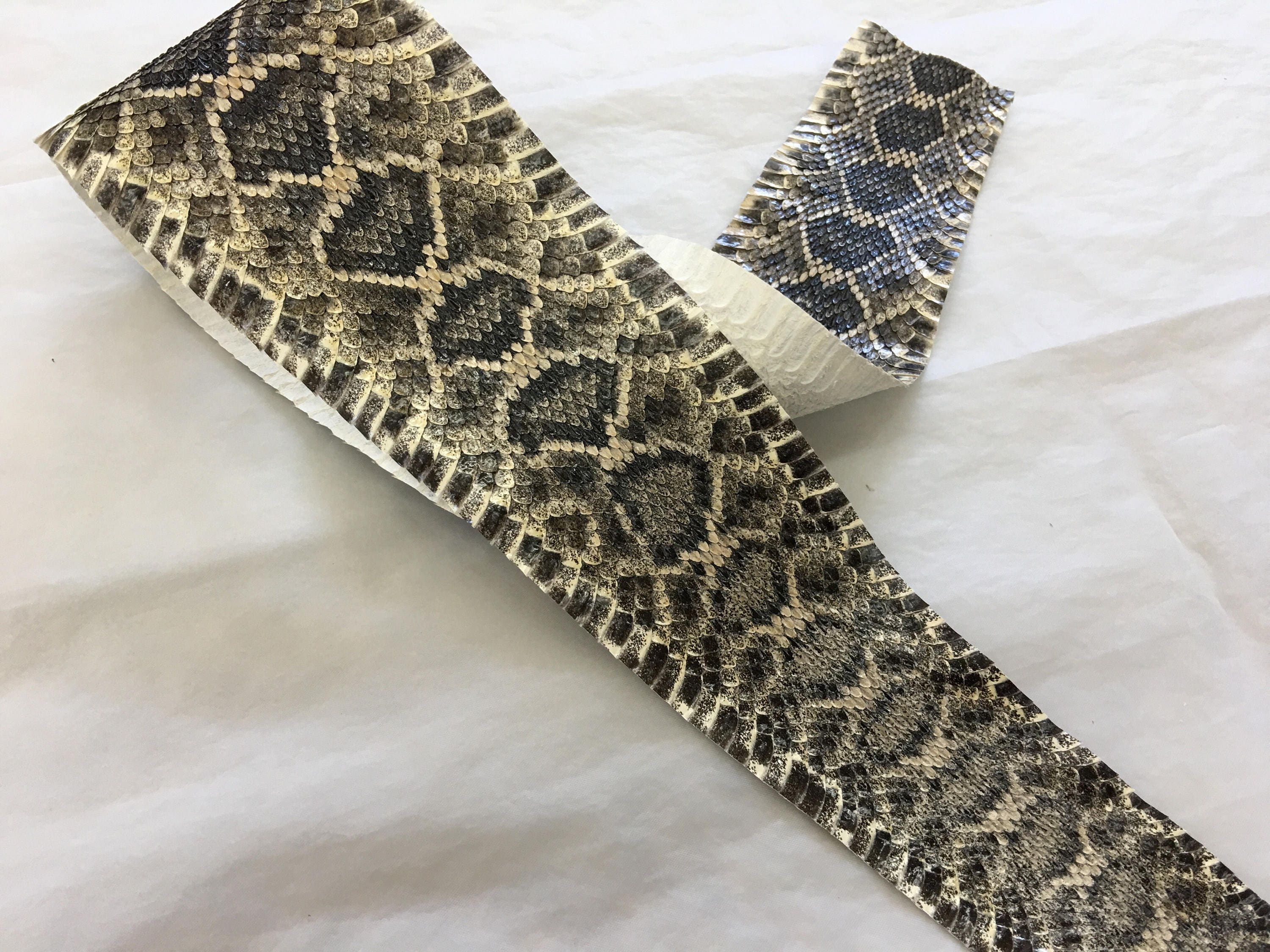 Authentic Rattlesnake Skin, Eastern Diamondback Rattlesnake, leathers ...