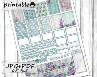 50% OFF SALE Succulent Planner Stickers/ Erin Condren Planner Stickers/Printable Planner Stickers/Planner Stickers Printable/Weekly Kit