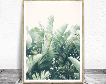 Tropical Print - Baydreem. Tropical Wall Art Tropical Poster Banana Leaf Photography Tropical Decor Soft Palette Minimalist Botanical Print